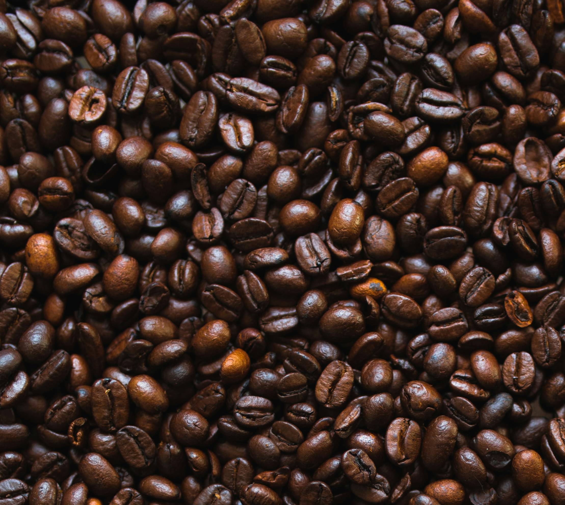 Café CEBB - primeiro bimestre 2026