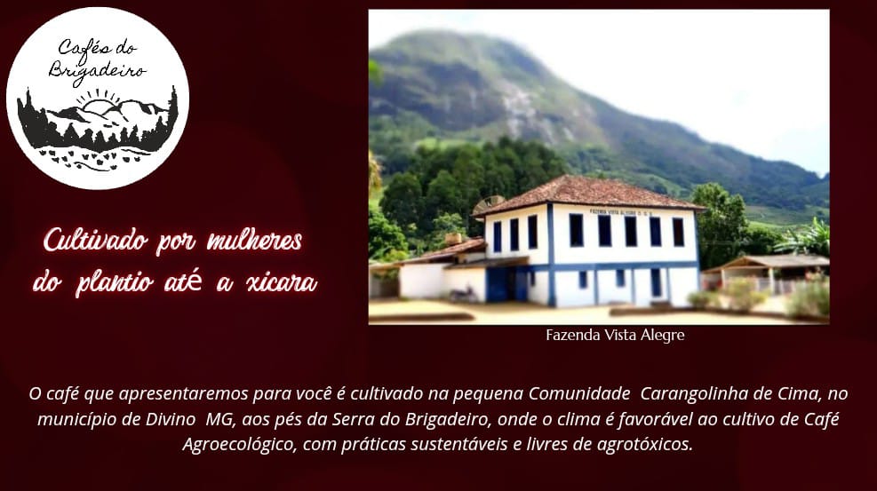 Café CEBB - segundo trimestre 2026